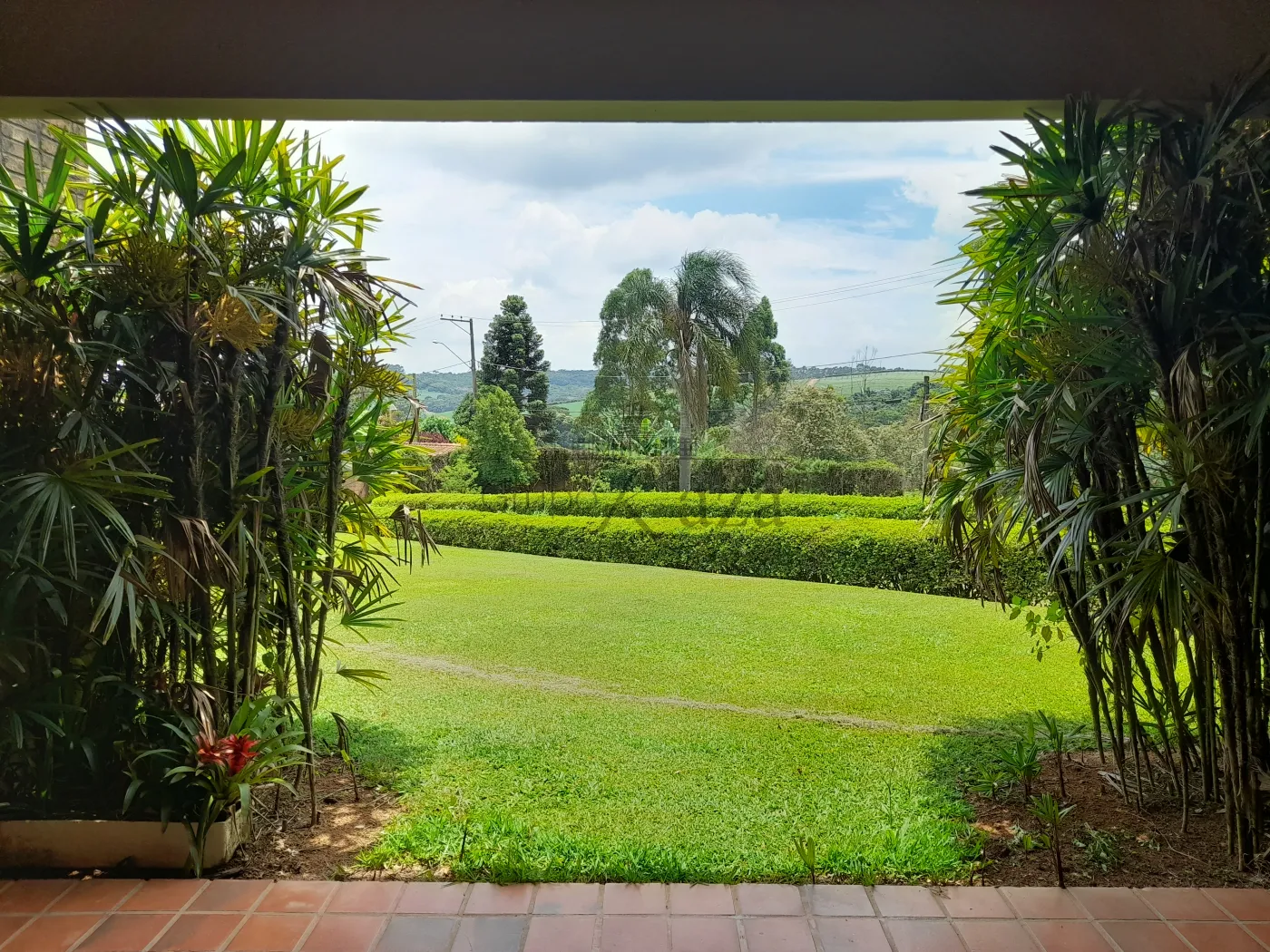Foto 32 de Rural Sítio em Campininha, São Roque - imagem 32