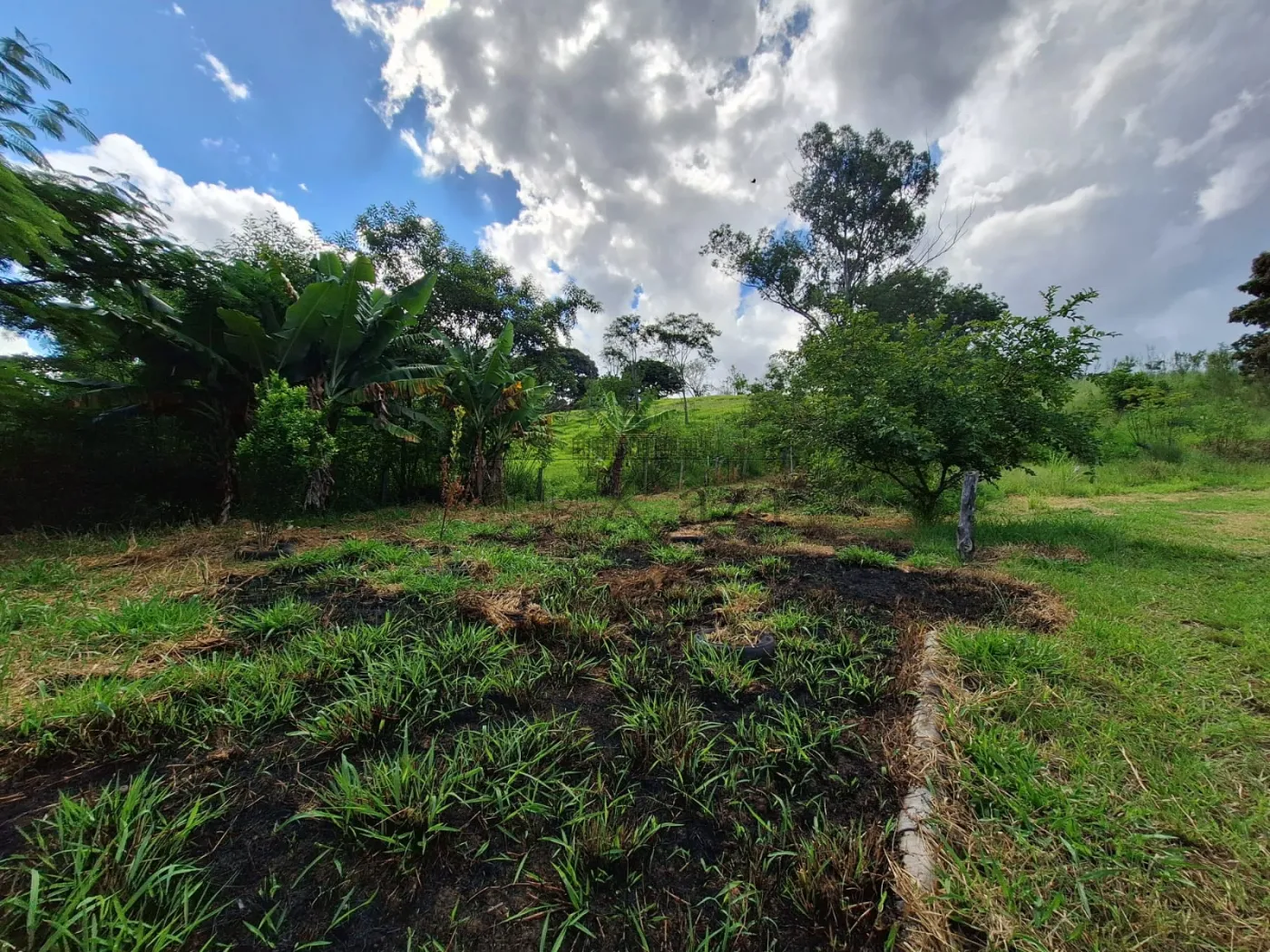 Foto 10 de Área Residencial em Jardim Santa Hermínia, São José dos Campos - imagem 10
