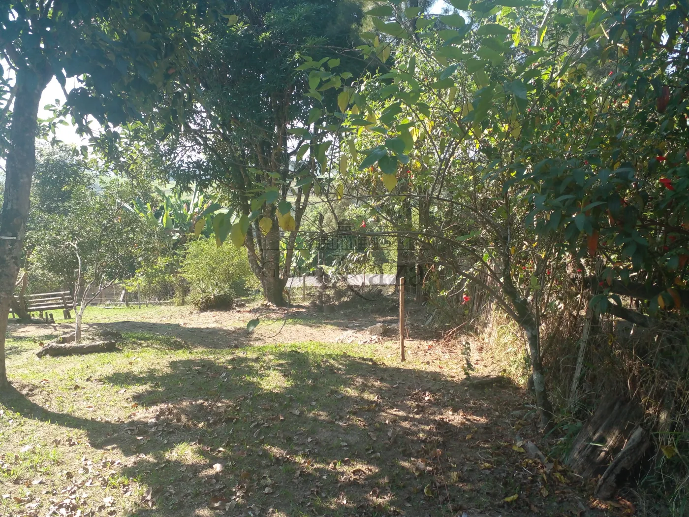Foto 15 de Rural Chácara em Chácaras Reunidas Igarapés, Jacareí - imagem 15
