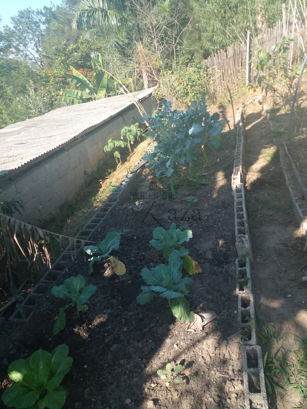 Foto 22 de Rural Chácara em Chácaras Reunidas Igarapés, Jacareí - imagem 22