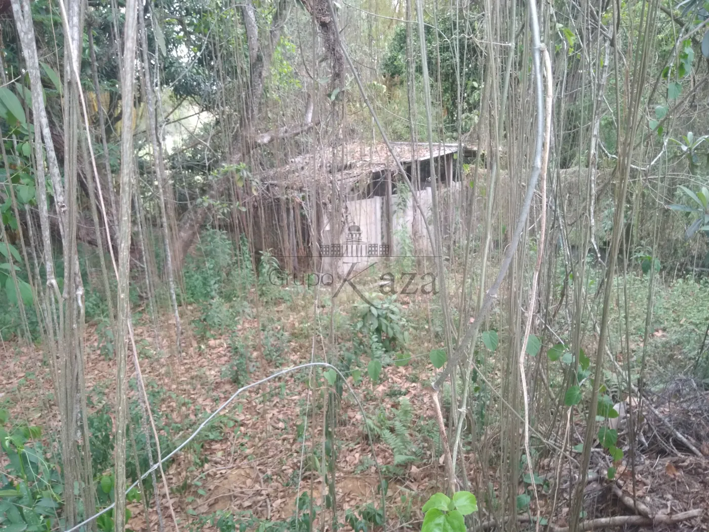 Foto 45 de Comercial Ponto Comercial em Santa Luzia , Caçapava - imagem 45