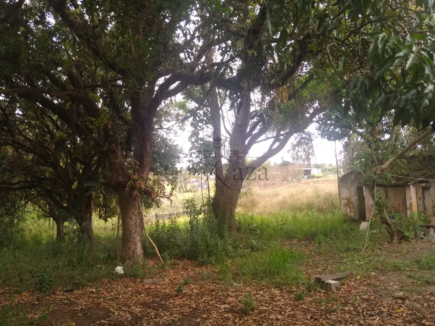 Foto 48 de Comercial Ponto Comercial em Santa Luzia , Caçapava - imagem 48