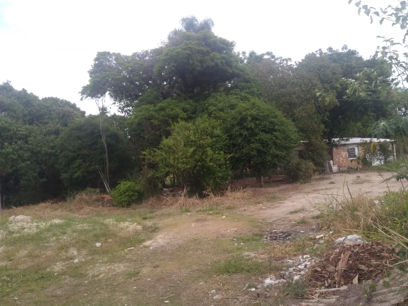 Foto 50 de Comercial Ponto Comercial em Santa Luzia , Caçapava - imagem 50