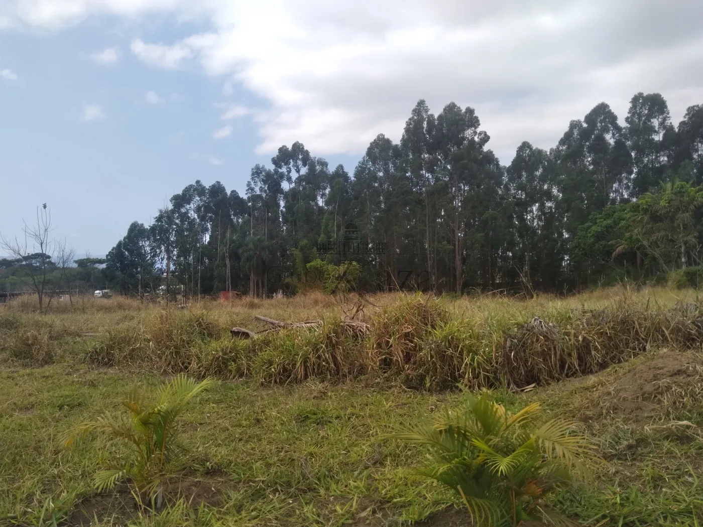 Foto 53 de Comercial Ponto Comercial em Santa Luzia , Caçapava - imagem 53