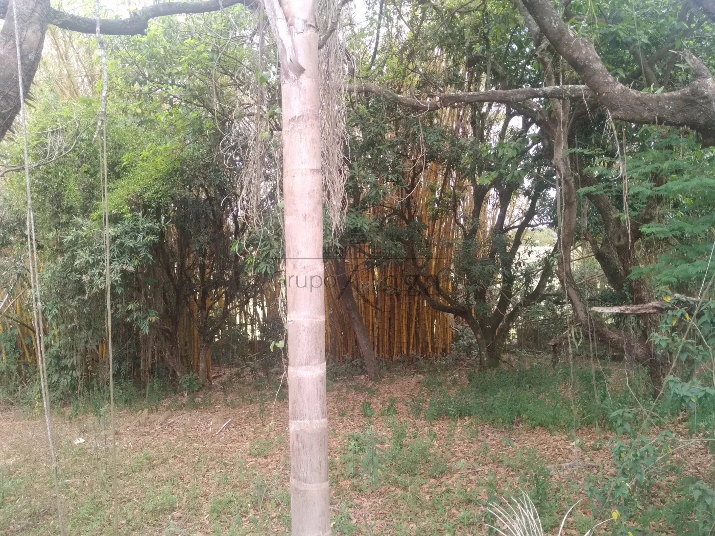 Foto 62 de Comercial Ponto Comercial em Santa Luzia , Caçapava - imagem 62
