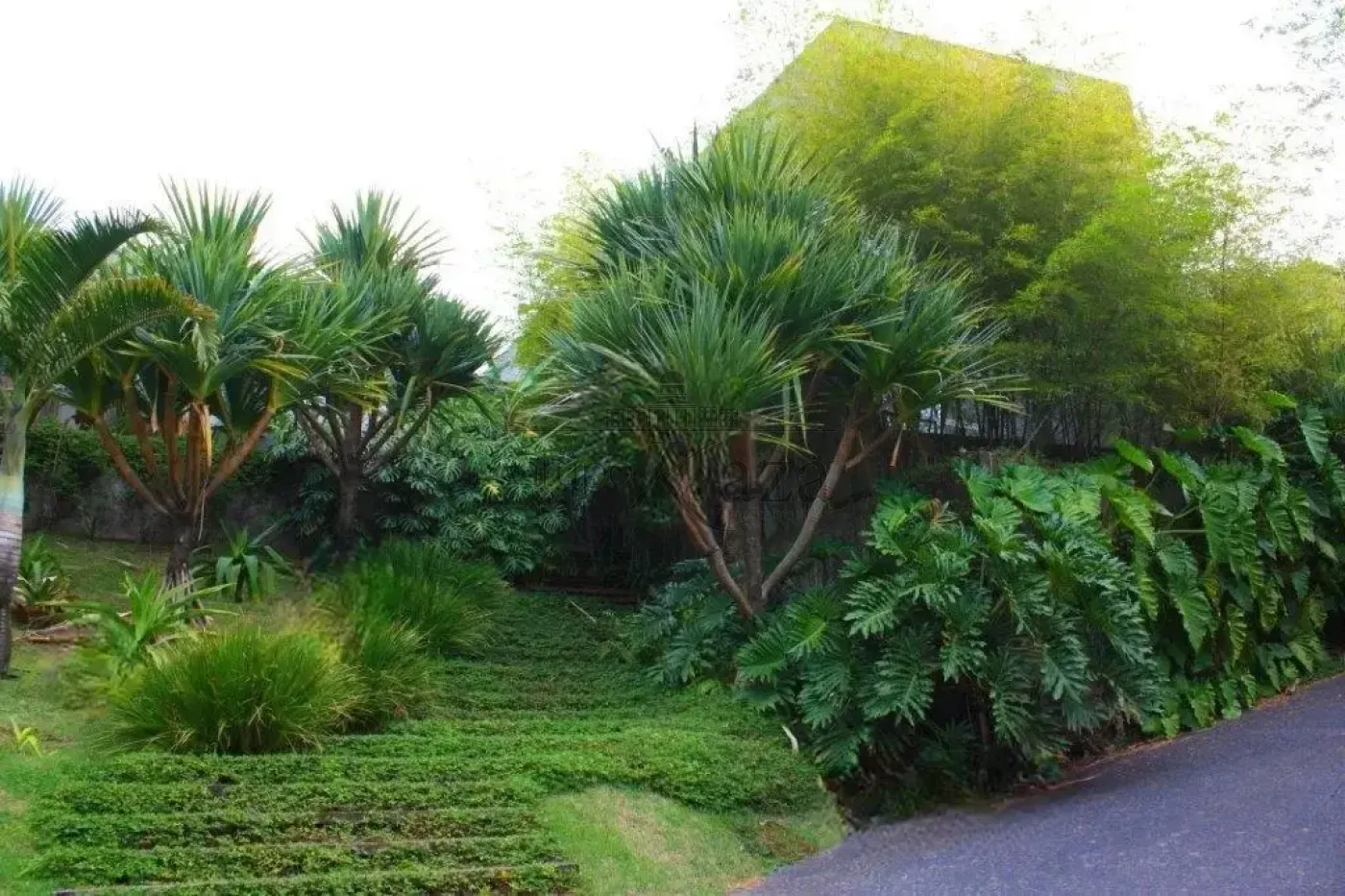 Foto 37 de Casa Sobrado em Vila Tramontano, São Paulo - imagem 37