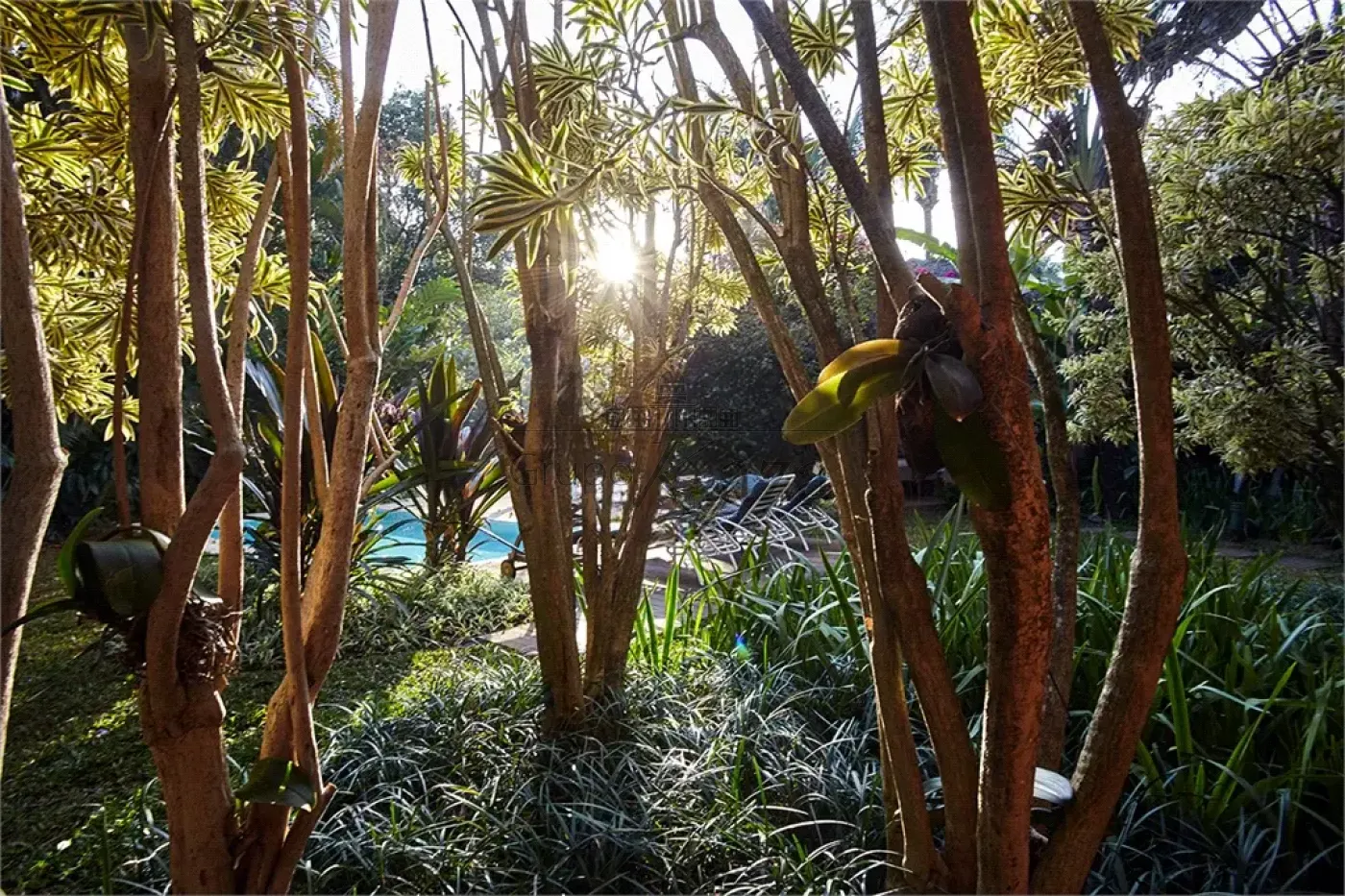 Foto 40 de Casa Sobrado em Morumbi, São Paulo - imagem 40