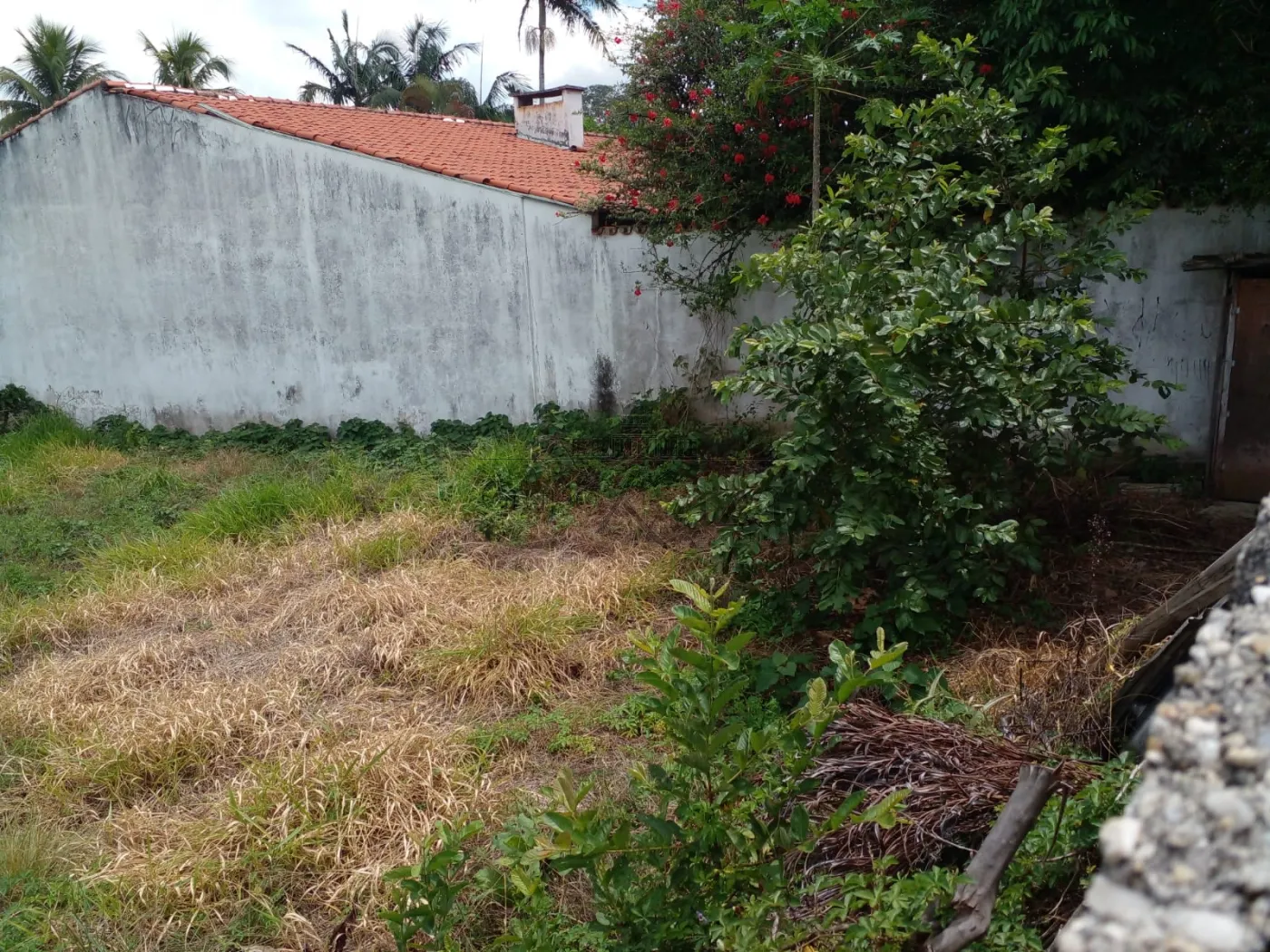 Foto 5 de Terreno Padrão em Jardim Siesta, Jacareí - imagem 5
