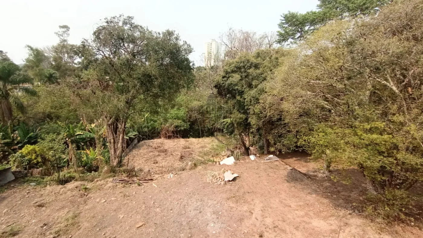 Terreno  ao fundo da chácara