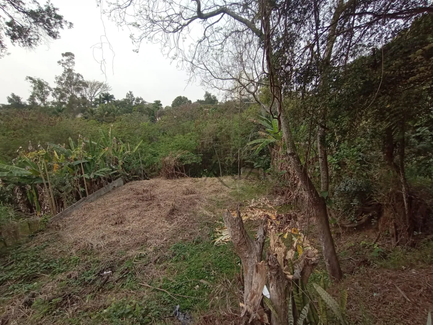 Foto 23 de Casa Padrão em Jardim da Granja, São José dos Campos - imagem 23