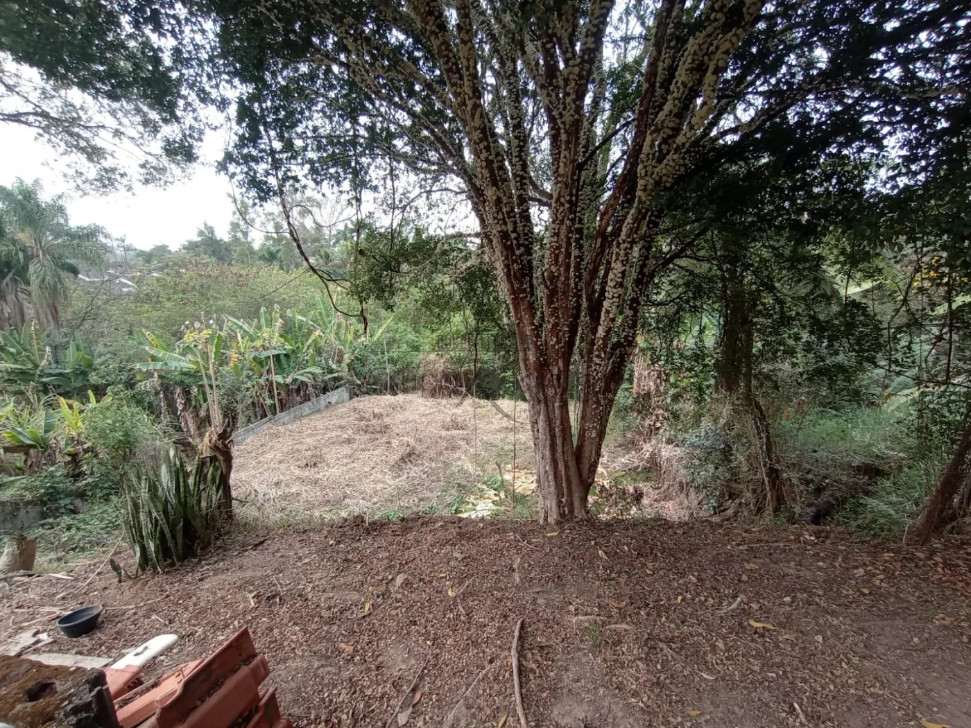 Foto 24 de Casa Padrão em Jardim da Granja, São José dos Campos - imagem 24