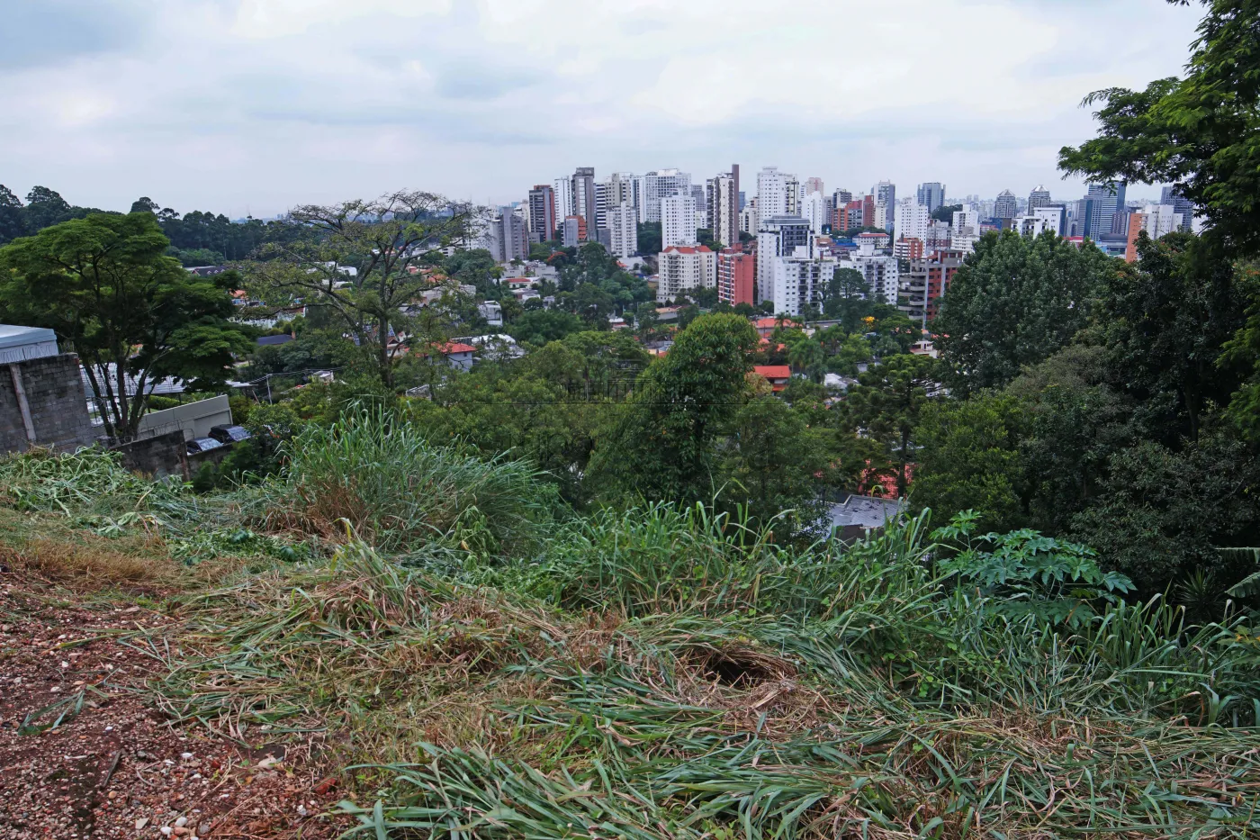 Foto 2 de Terreno Comercial em Morumbi, São Paulo - imagem 2