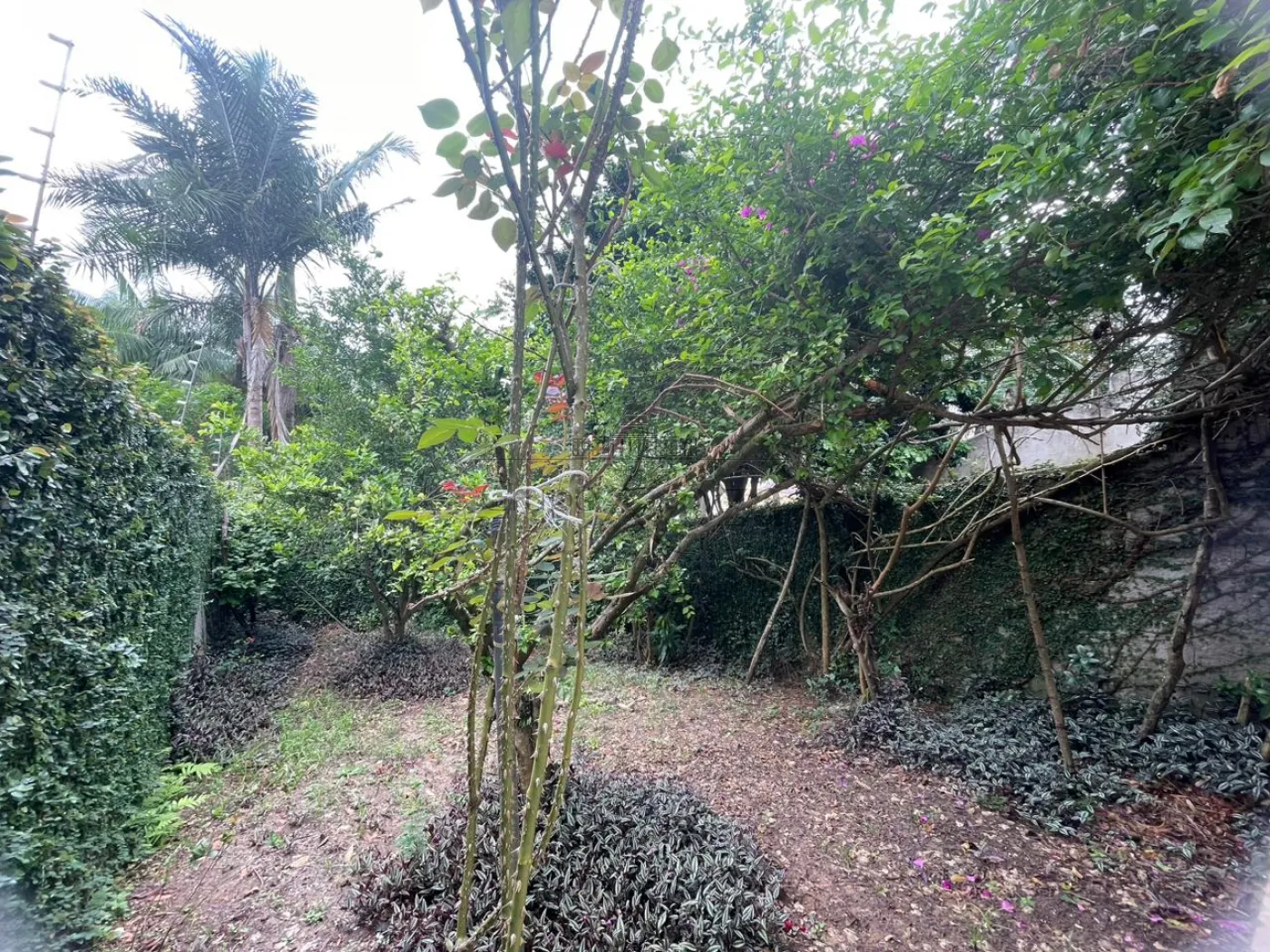 Foto 14 de Casa Padrão em Bandeira Branca, Jacareí - imagem 14