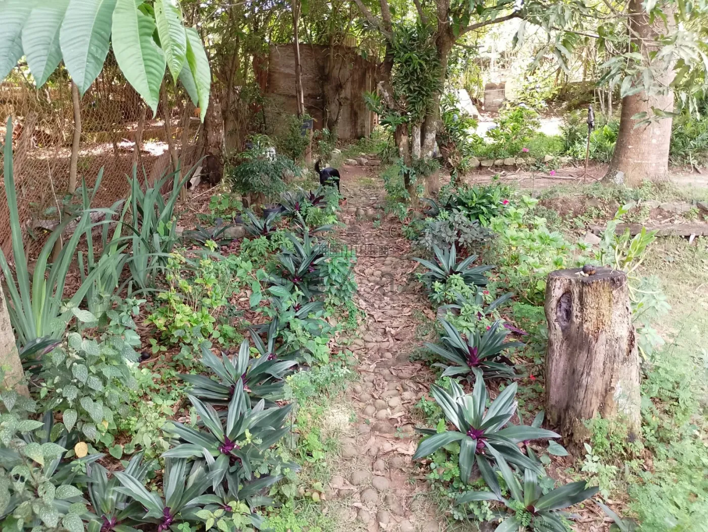 Foto 11 de Casa Padrão em Jardim Paraíso, Jacareí - imagem 11