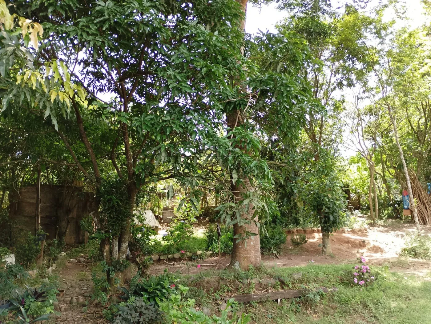 Foto 12 de Casa Padrão em Jardim Paraíso, Jacareí - imagem 12