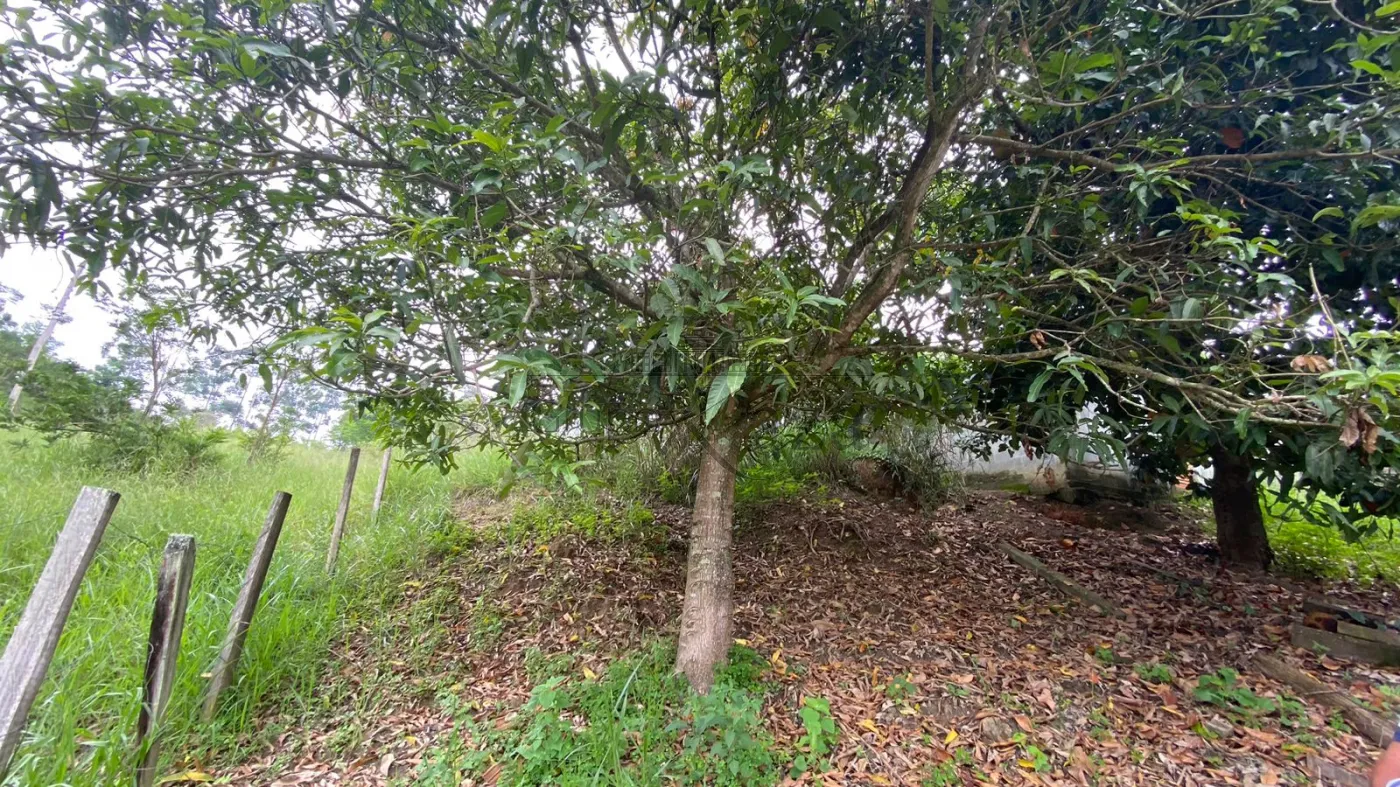 Foto 4 de Terreno Padrão em Estância Porto Velho, Jacareí - imagem 4