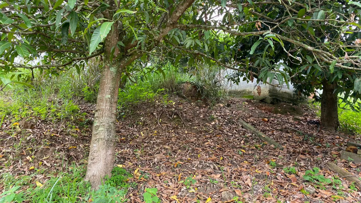 Foto 8 de Terreno Padrão em Estância Porto Velho, Jacareí - imagem 8
