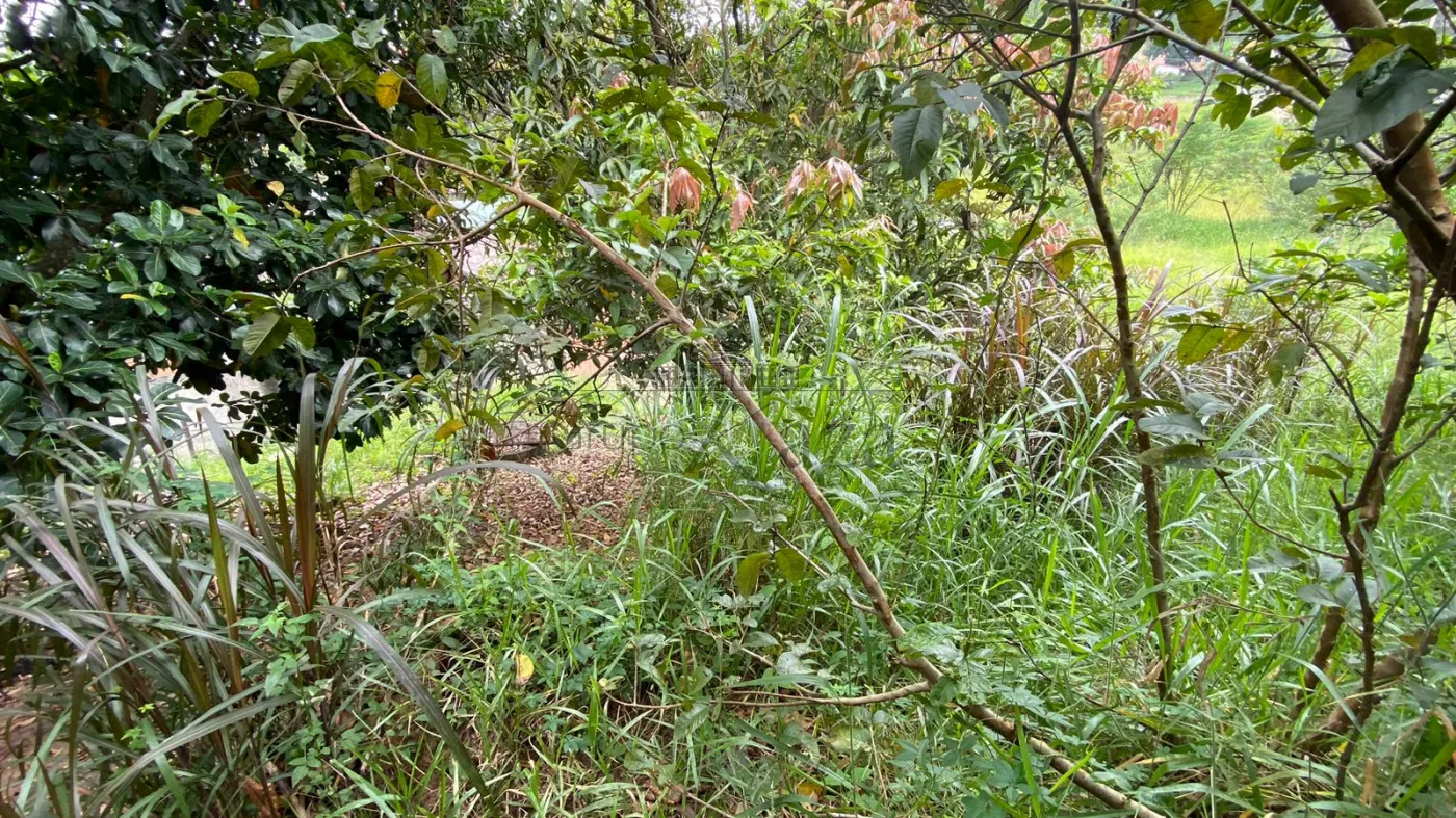 Foto 9 de Terreno Padrão em Estância Porto Velho, Jacareí - imagem 9