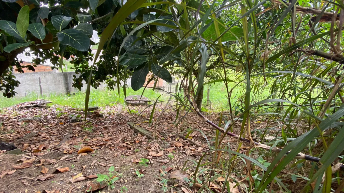 Foto 5 de Terreno Padrão em Estância Porto Velho, Jacareí - imagem 5