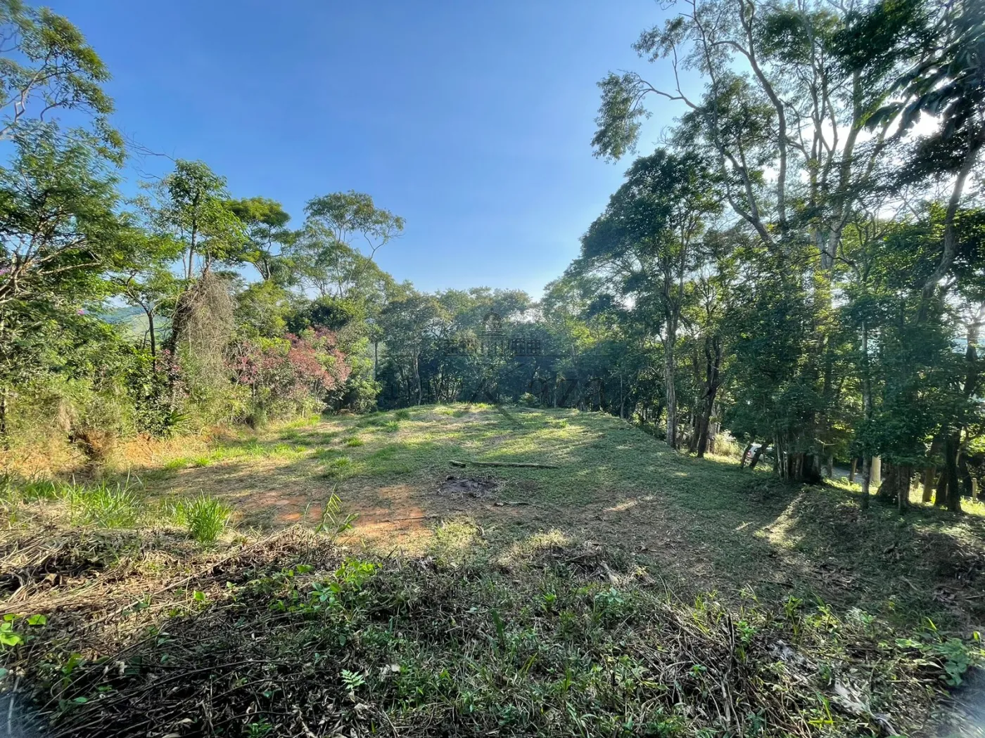 Foto 2 de Terreno Padrão em Itapeti, Guararema - imagem 2