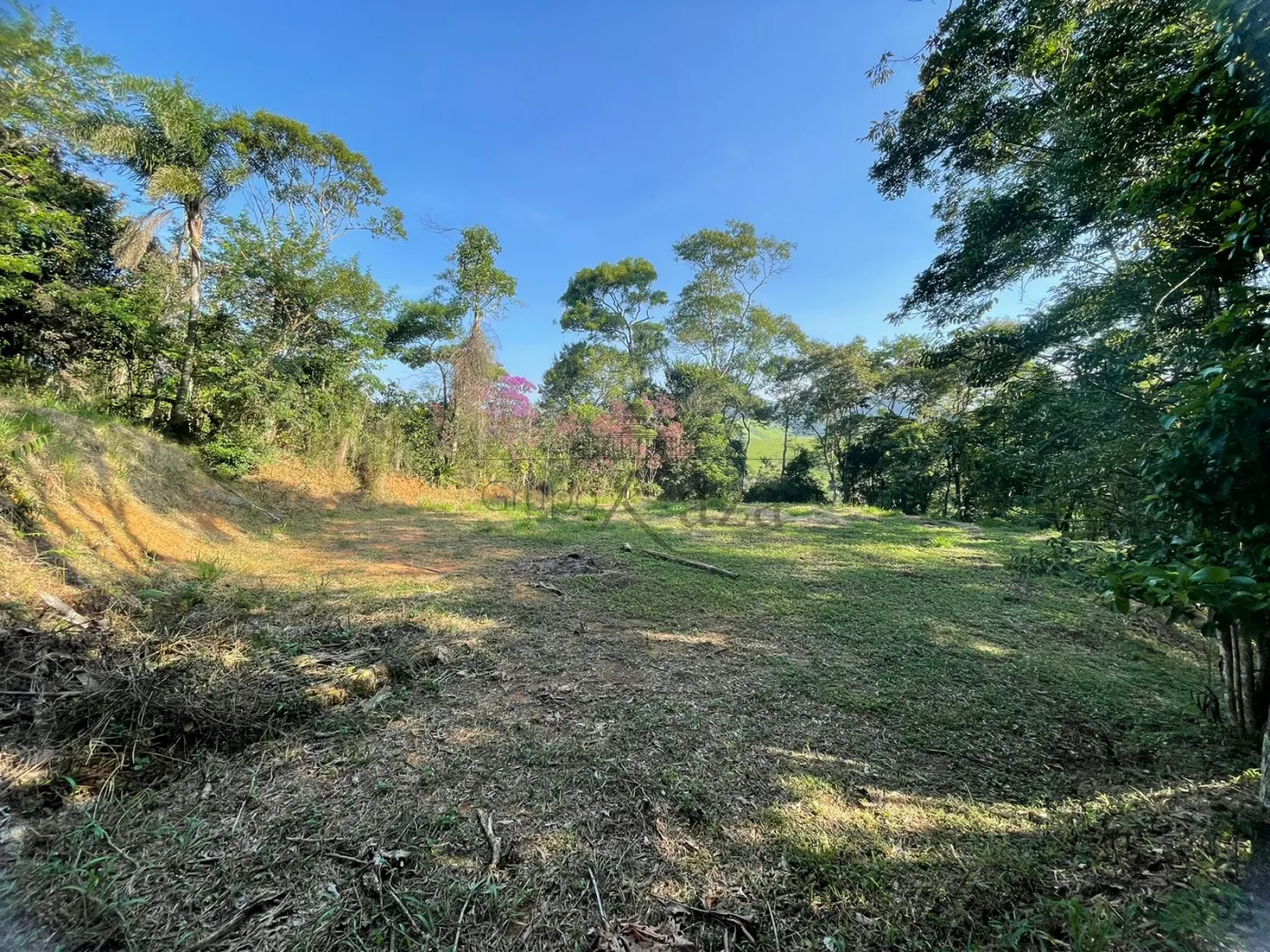 Foto 5 de Terreno Padrão em Itapeti, Guararema - imagem 5