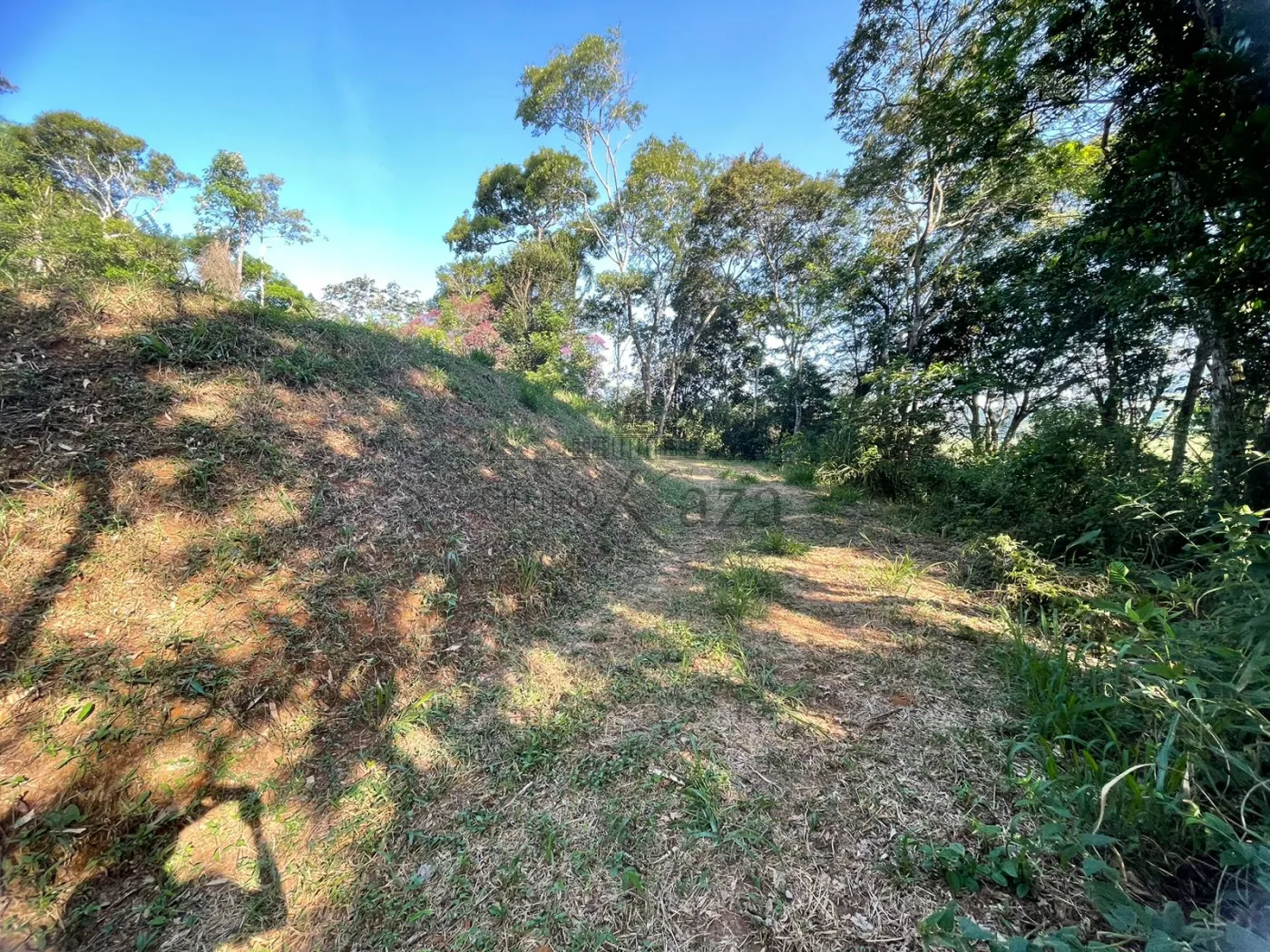 Foto 6 de Terreno Padrão em Itapeti, Guararema - imagem 6