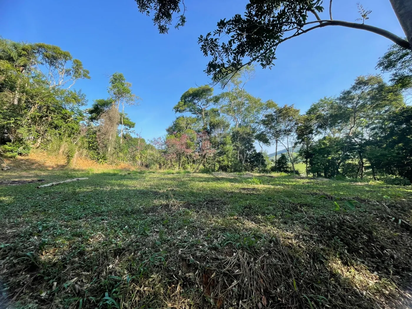 Foto 4 de Terreno Padrão em Itapeti, Guararema - imagem 4