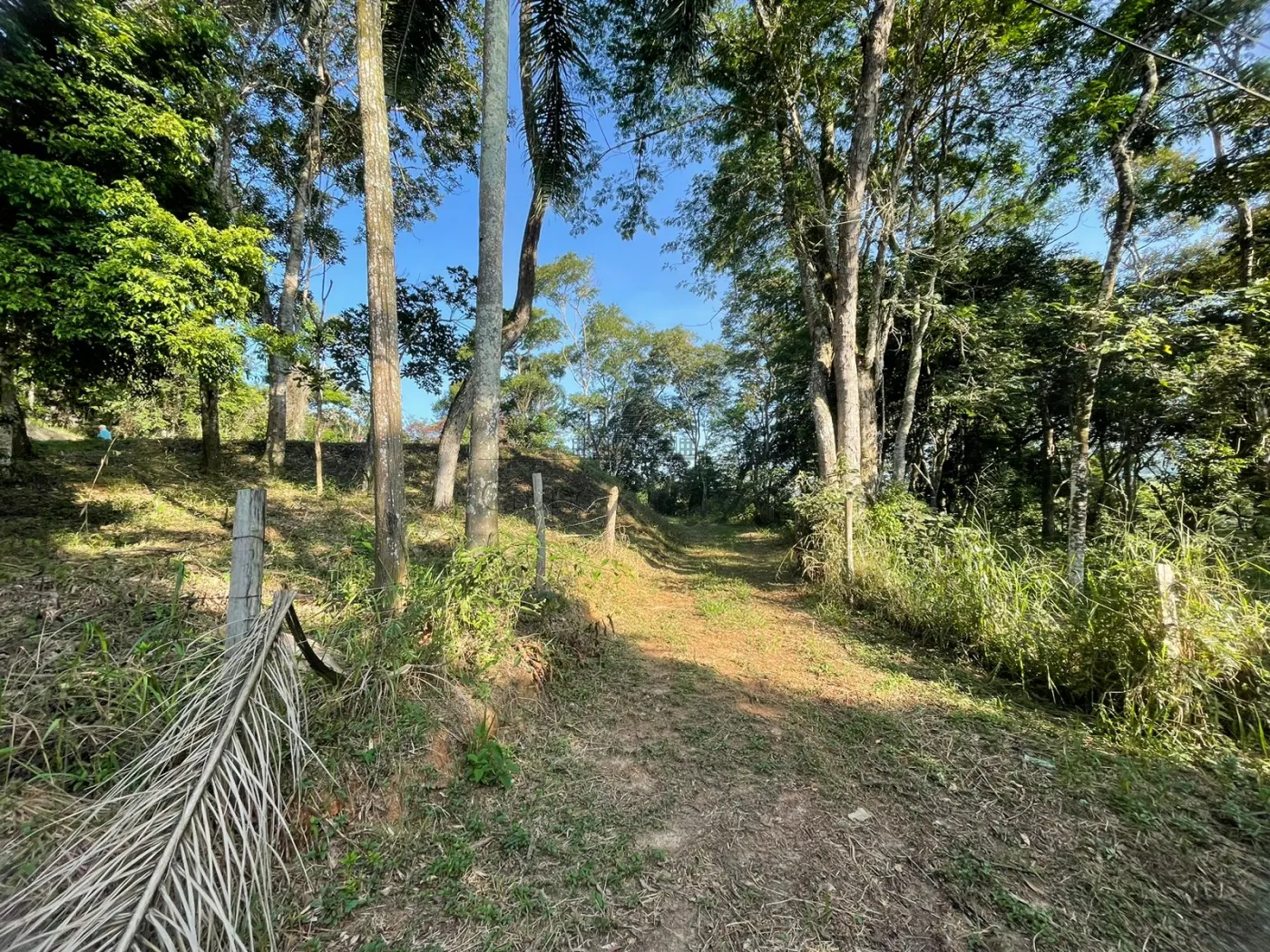 Foto 7 de Terreno Padrão em Itapeti, Guararema - imagem 7