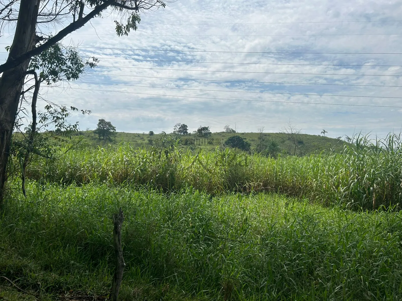 Foto 11 de Rural Fazenda em Bairro da Pernambucana, São José dos Campos - imagem 11