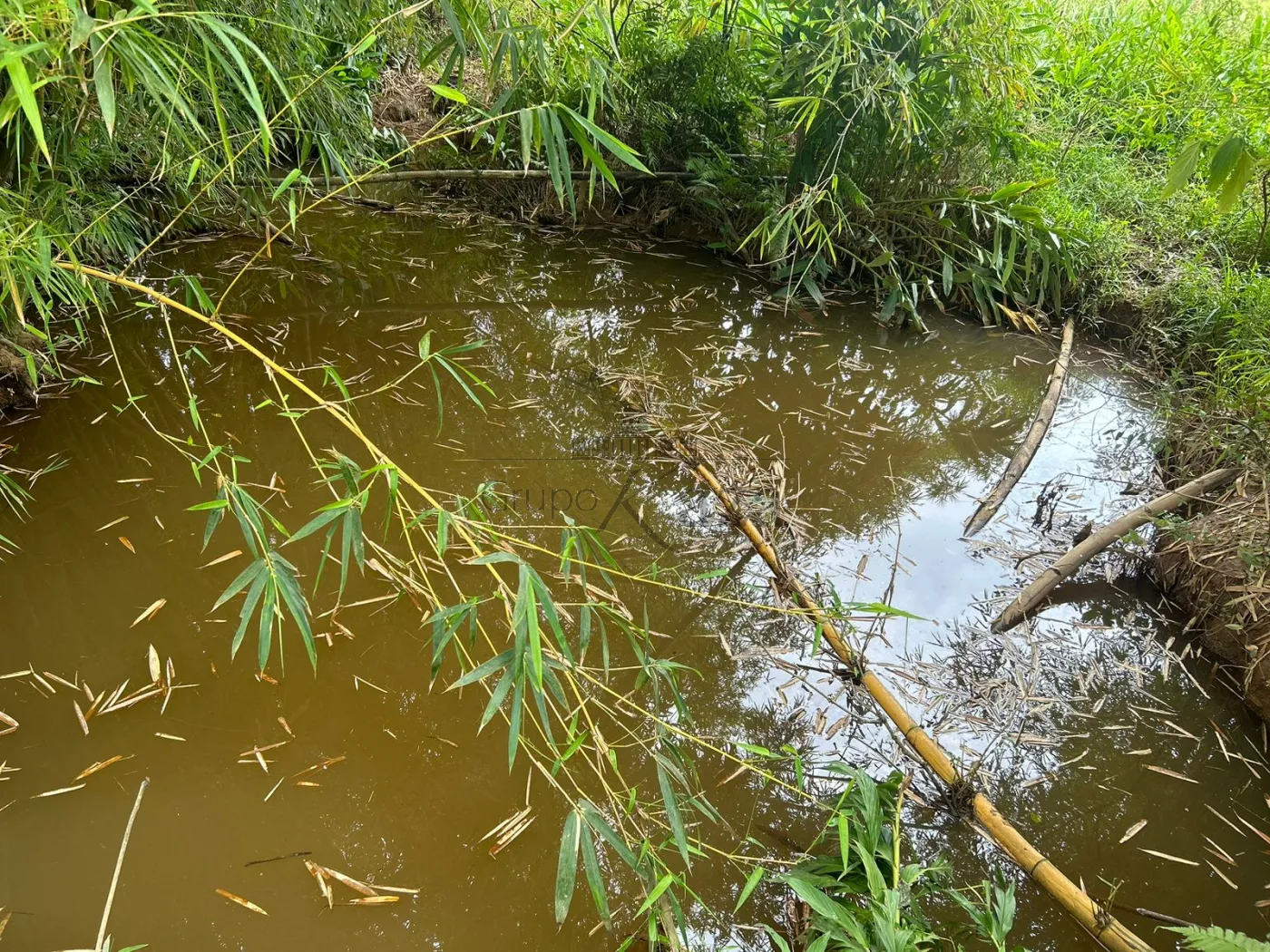 Foto 14 de Rural Fazenda em Bairro da Pernambucana, São José dos Campos - imagem 14
