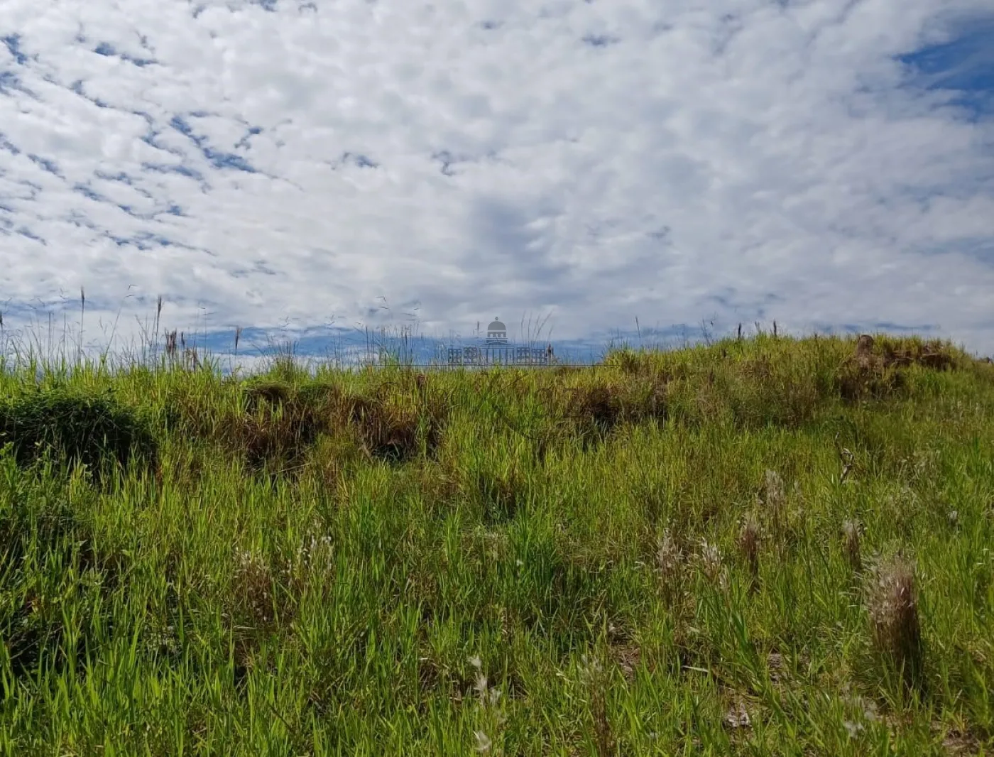 Foto 9 de Terreno Comercial em Terra Brasilis, São José dos Campos - imagem 9