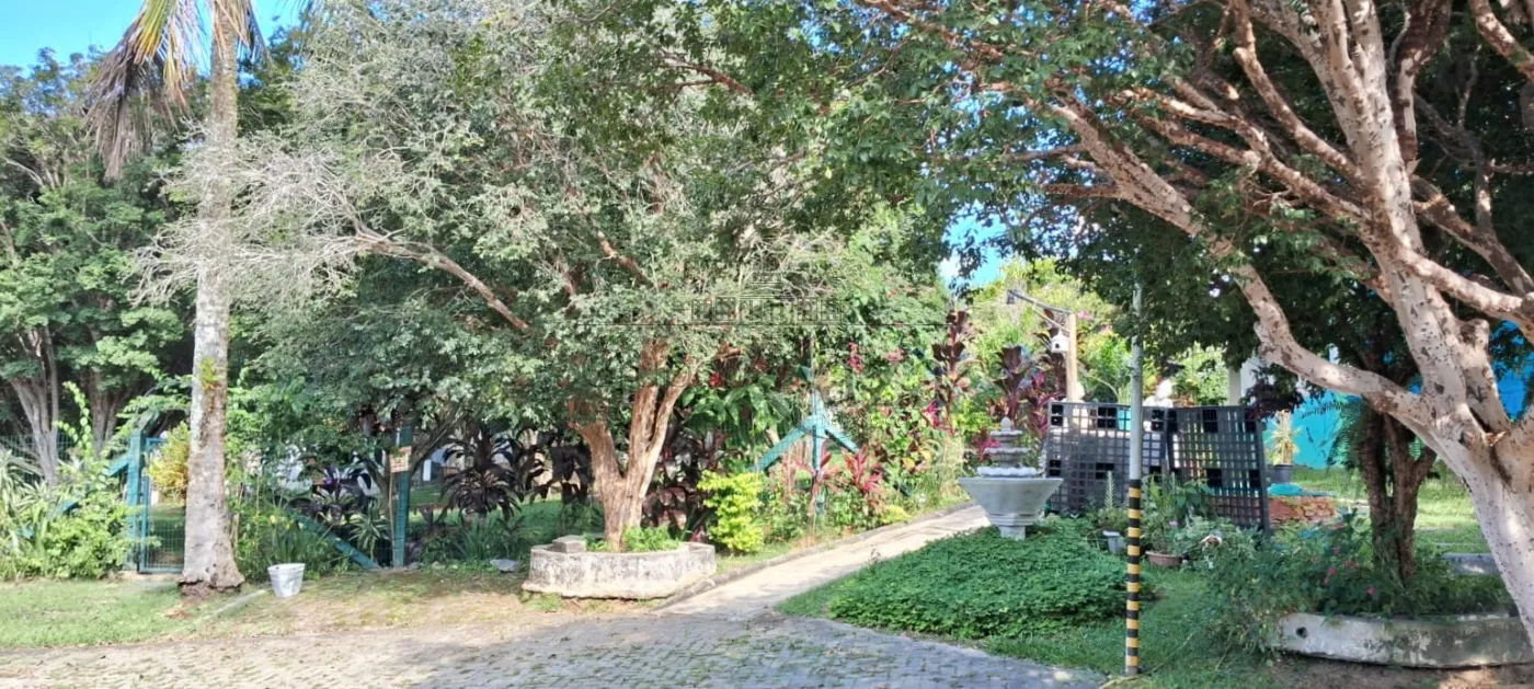 Foto 23 de Rural Chácara em Jardim Colonia, Jacareí - imagem 23