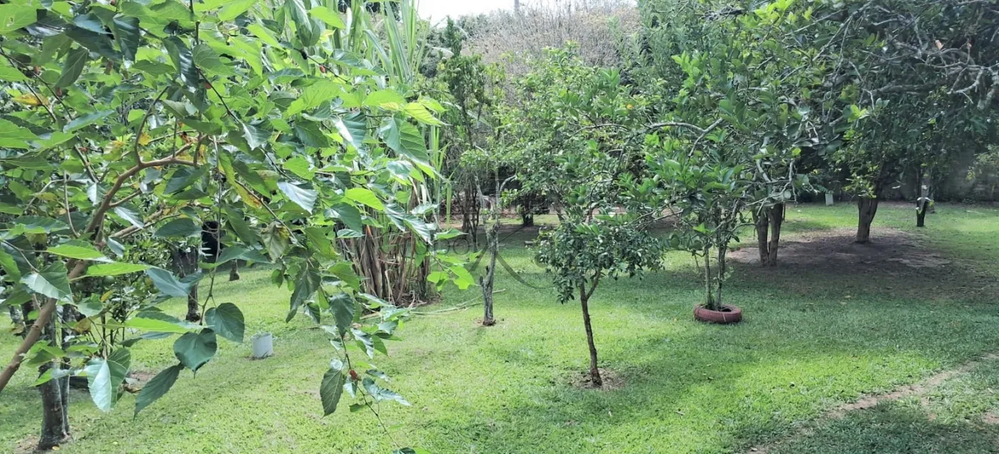 Foto 28 de Rural Chácara em Jardim Colonia, Jacareí - imagem 28
