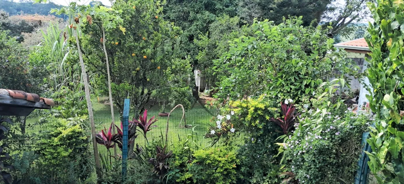Foto 33 de Rural Chácara em Jardim Colonia, Jacareí - imagem 33
