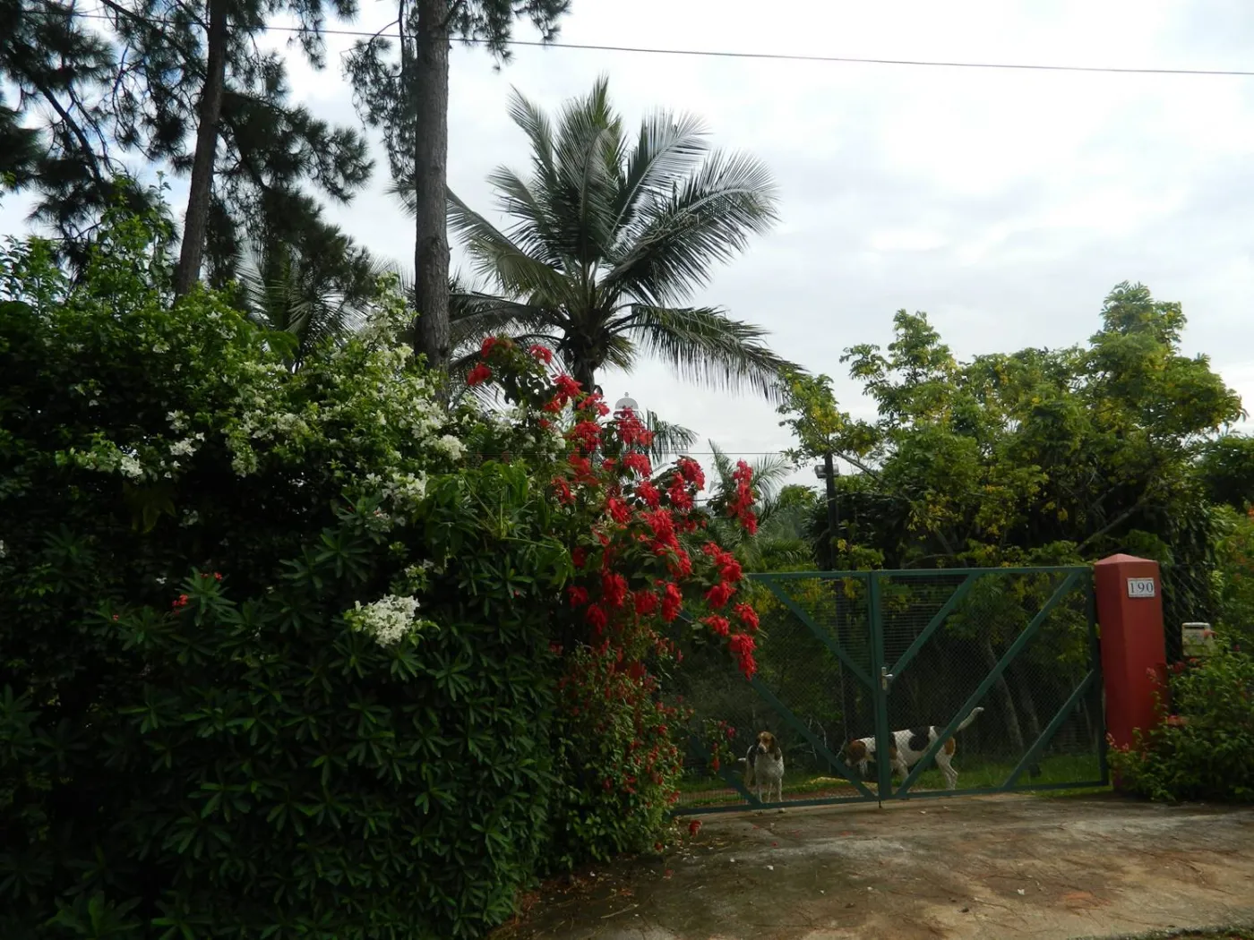 Foto 26 de Rural Chácara em Chácaras Cataguá, Taubaté - imagem 26