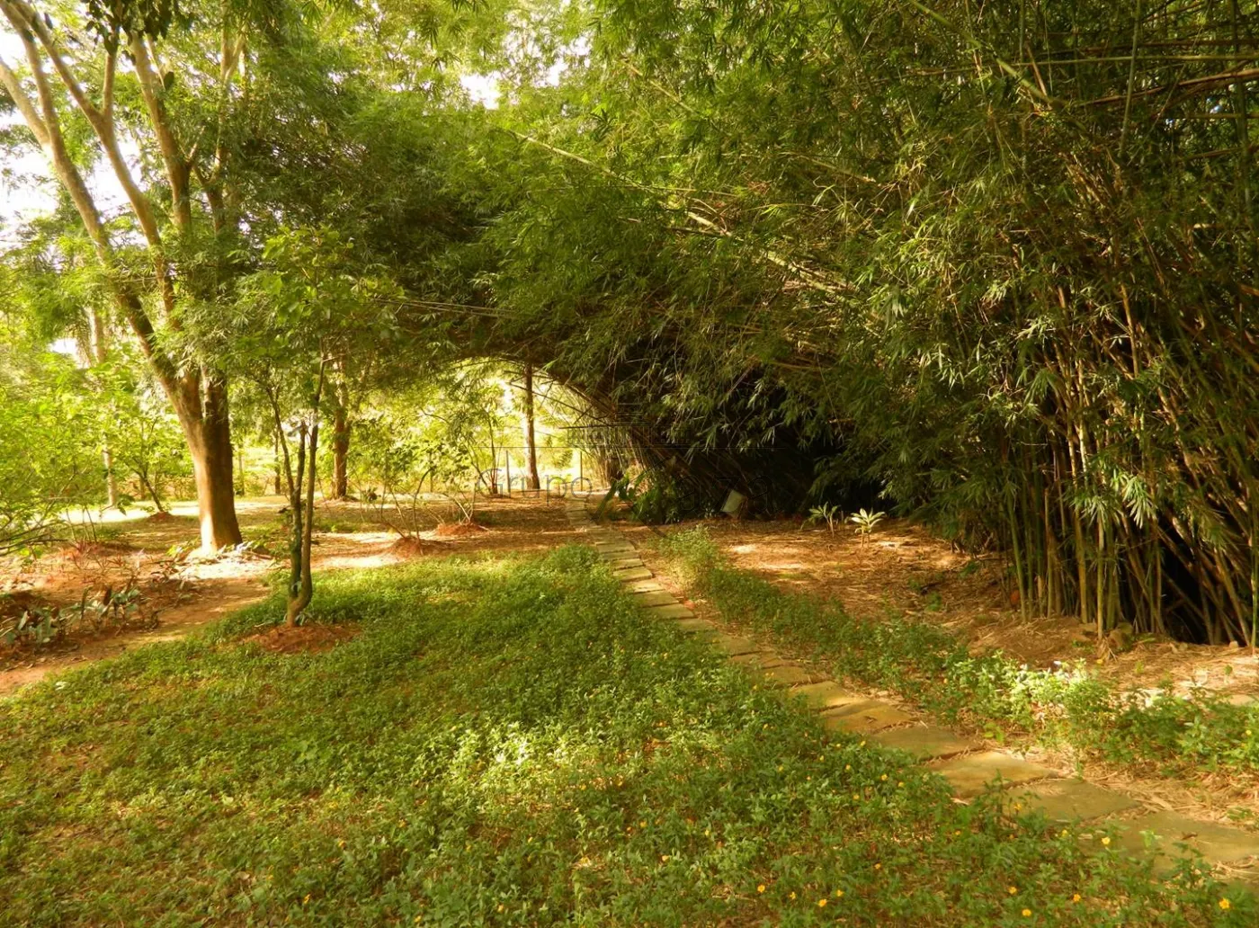 Foto 25 de Rural Chácara em Chácaras Cataguá, Taubaté - imagem 25