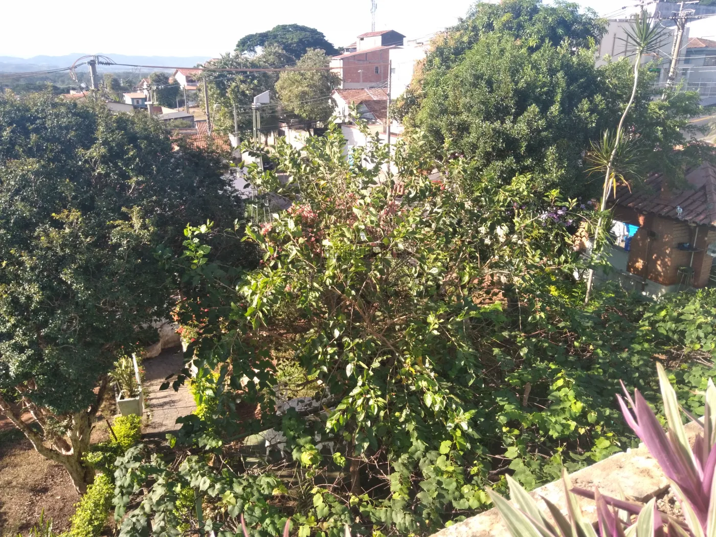 Foto 49 de Casa Comercial  Residencial em Monte Castelo, São José dos Campos - imagem 49