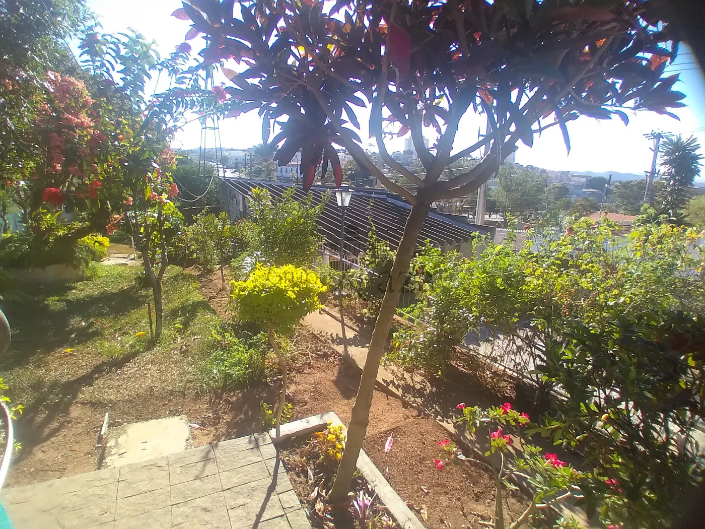 Foto 54 de Casa Comercial  Residencial em Monte Castelo, São José dos Campos - imagem 54
