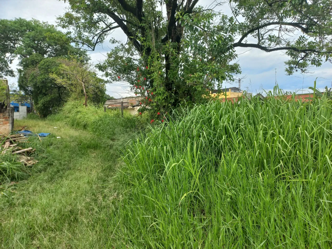 Foto 1 de Área ComercialResidencial em São João, Jacareí - imagem 1