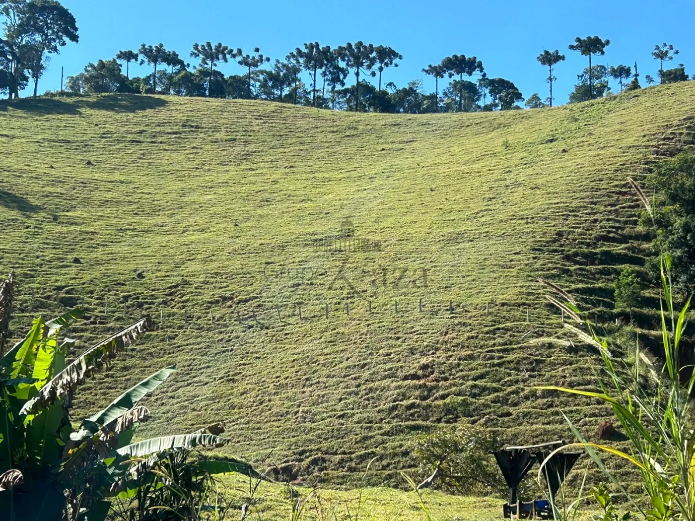 Foto 3 de Rural Fazenda em São Francisco Xavier, São José dos Campos - imagem 3