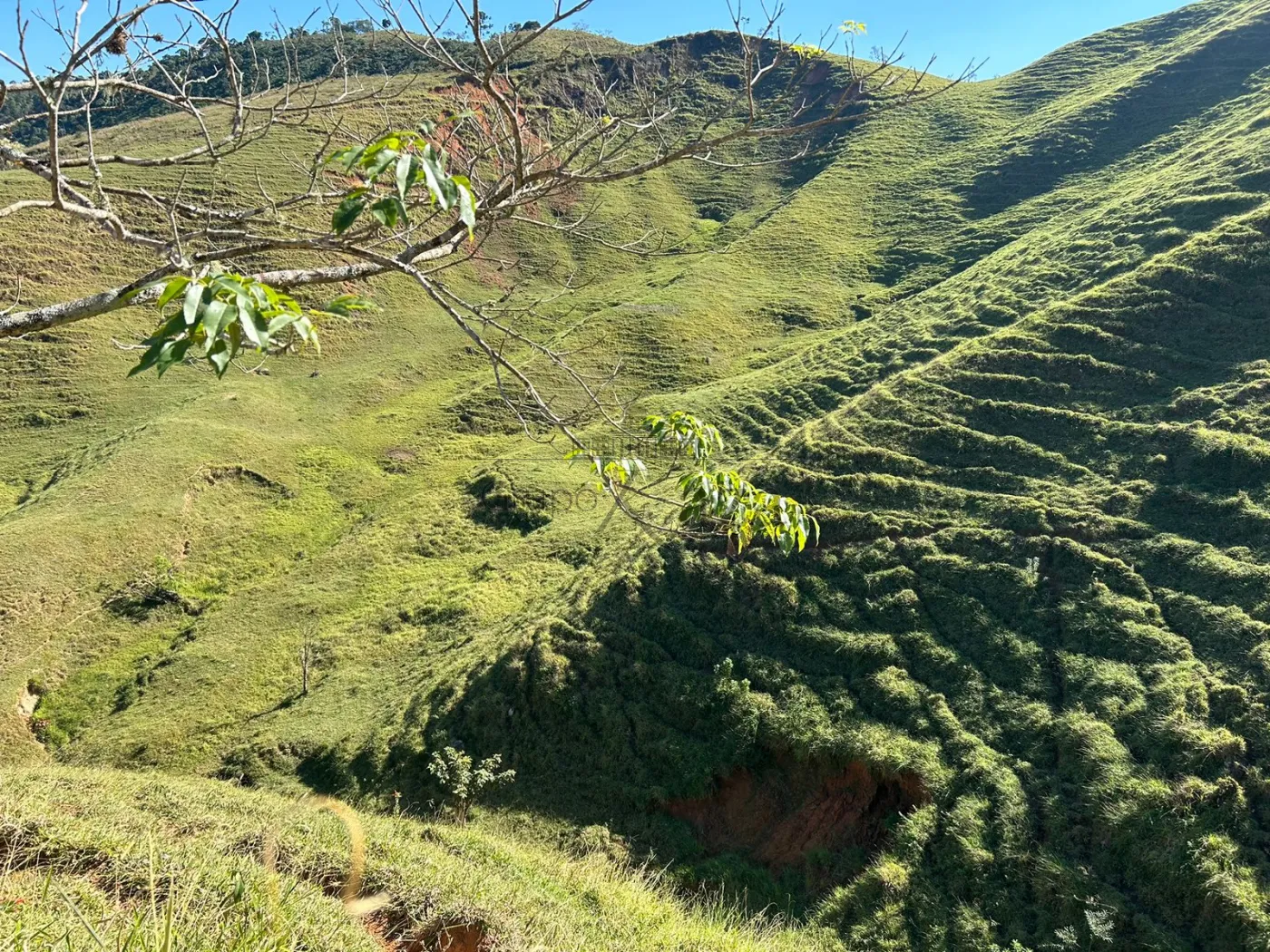 Foto 5 de Rural Fazenda em São Francisco Xavier, São José dos Campos - imagem 5