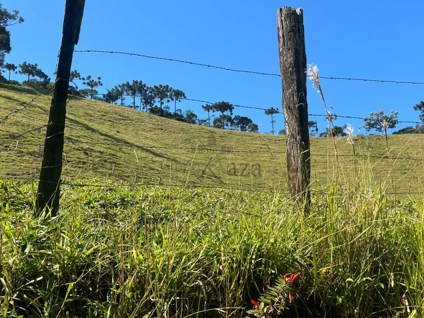 Foto 11 de Rural Fazenda em São Francisco Xavier, São José dos Campos - imagem 11
