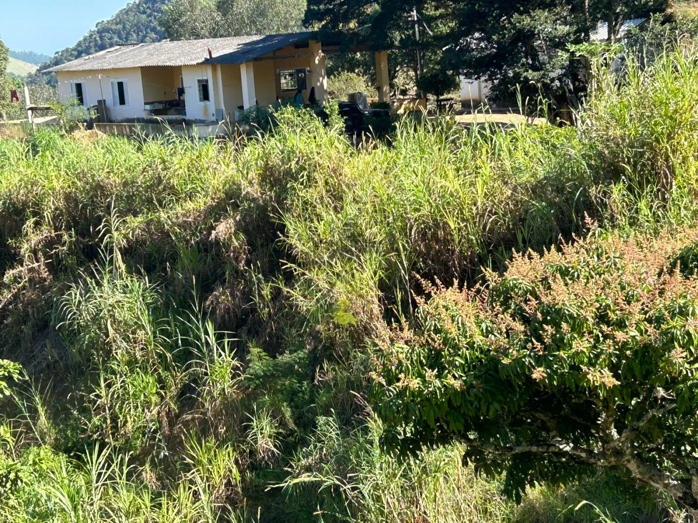 Foto 14 de Rural Fazenda em São Francisco Xavier, São José dos Campos - imagem 14