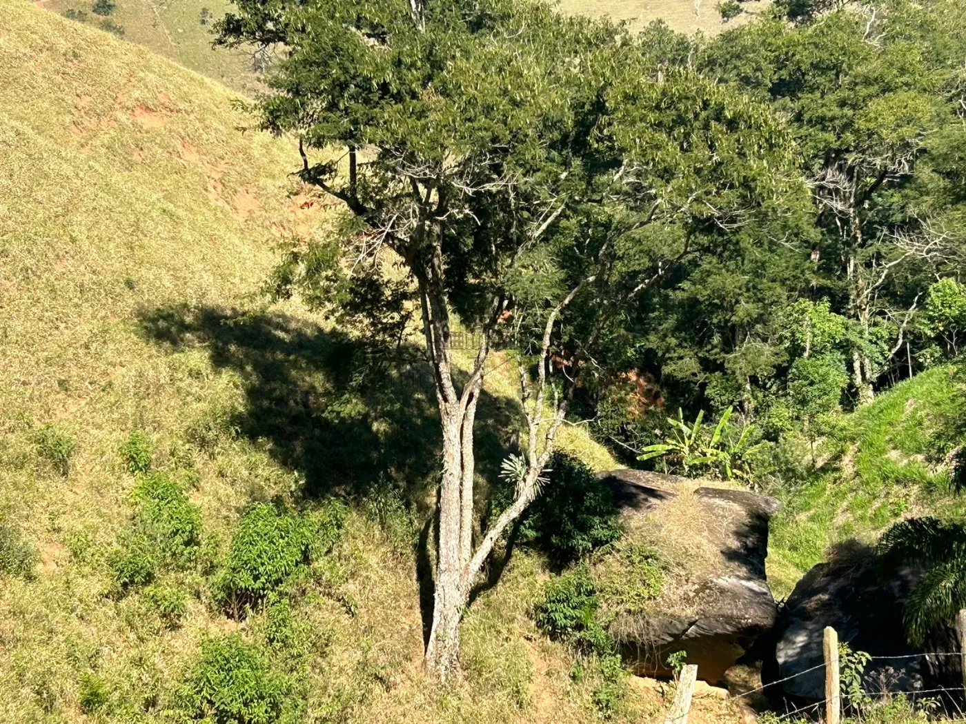Foto 19 de Rural Fazenda em São Francisco Xavier, São José dos Campos - imagem 19