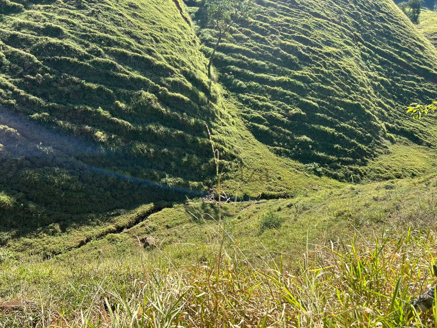 Foto 21 de Rural Fazenda em São Francisco Xavier, São José dos Campos - imagem 21