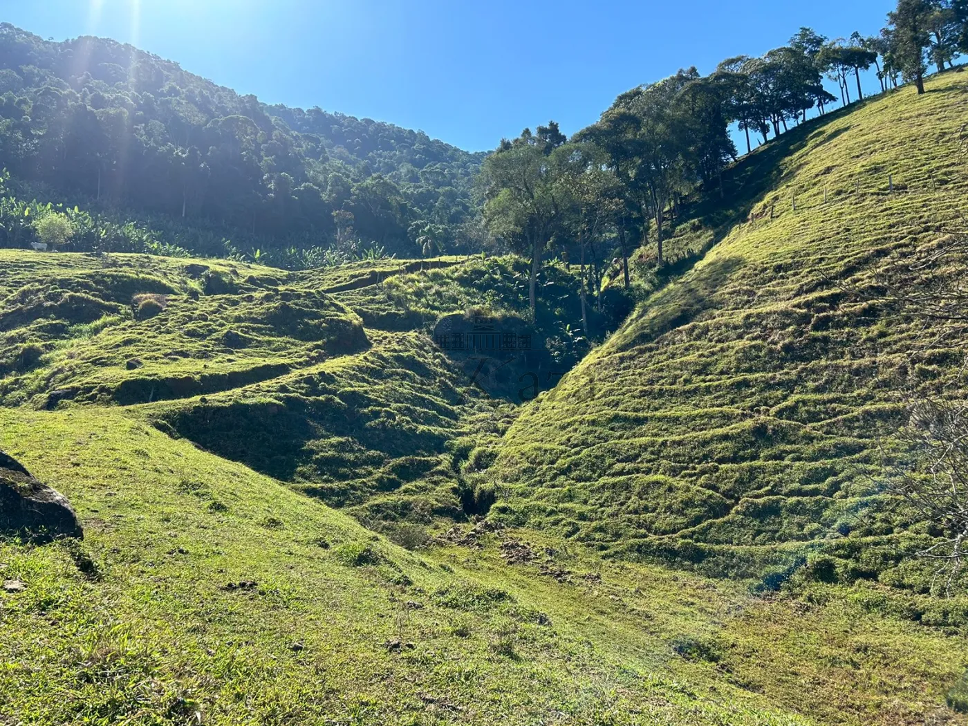 Foto 22 de Rural Fazenda em São Francisco Xavier, São José dos Campos - imagem 22