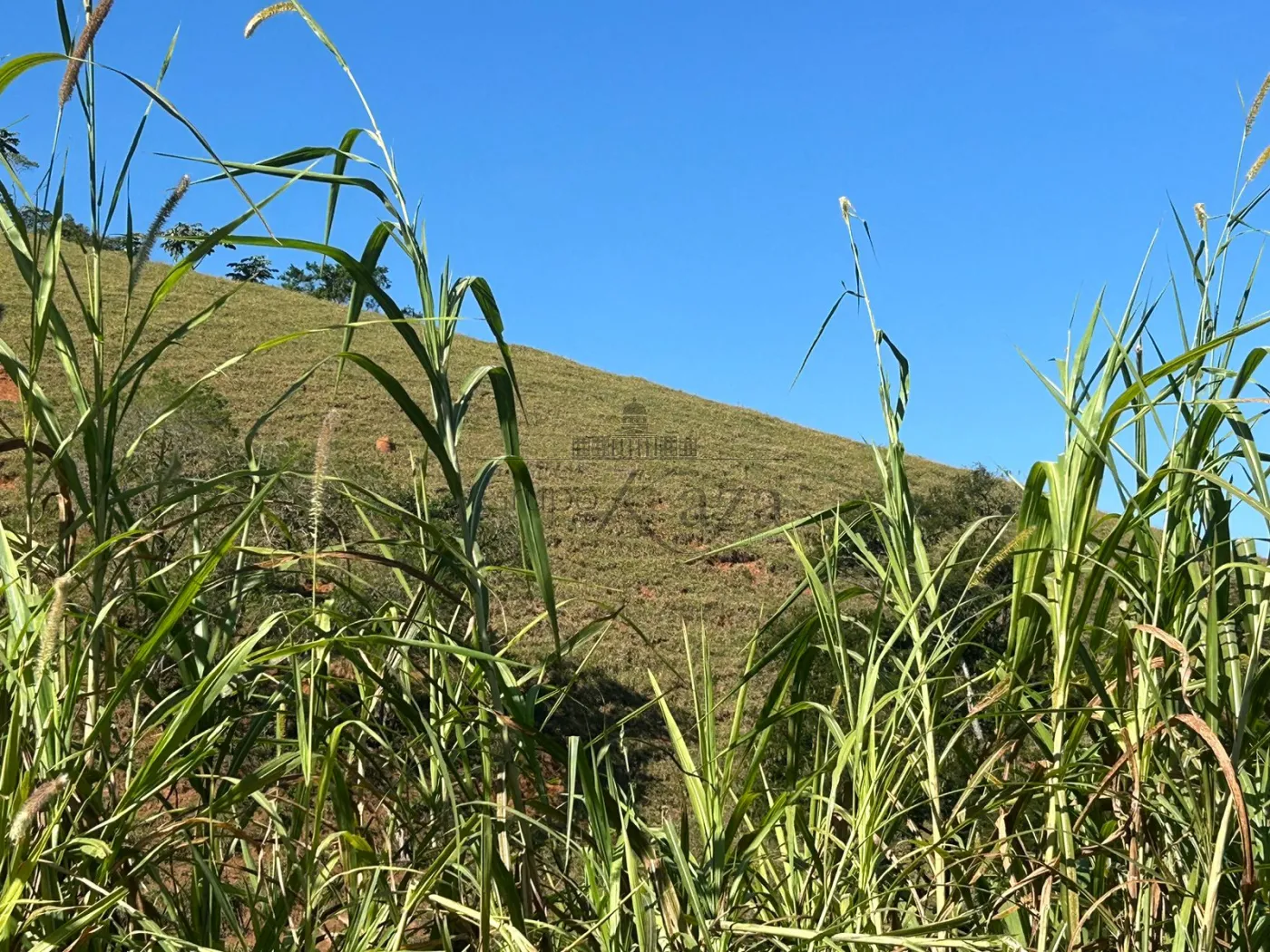 Foto 23 de Rural Fazenda em São Francisco Xavier, São José dos Campos - imagem 23