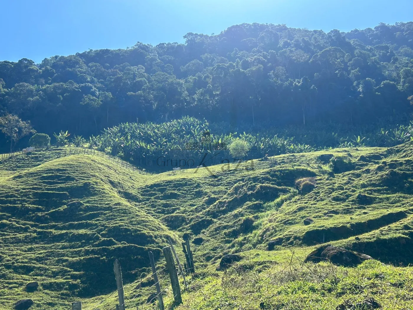 Foto 24 de Rural Fazenda em São Francisco Xavier, São José dos Campos - imagem 24