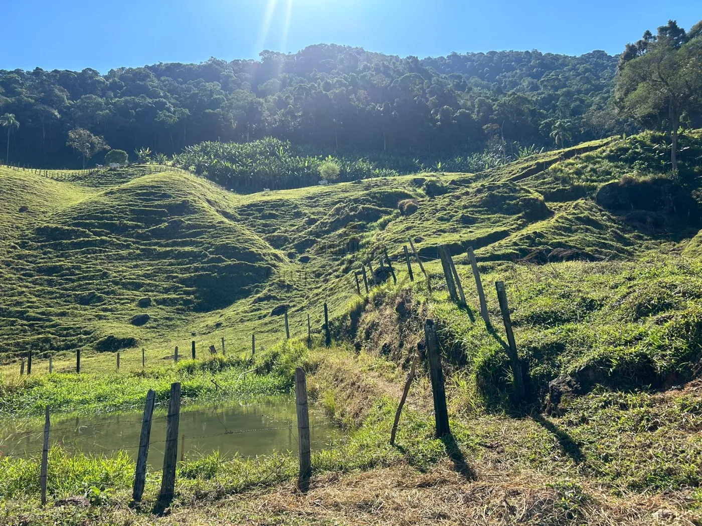 Foto 28 de Rural Fazenda em São Francisco Xavier, São José dos Campos - imagem 28