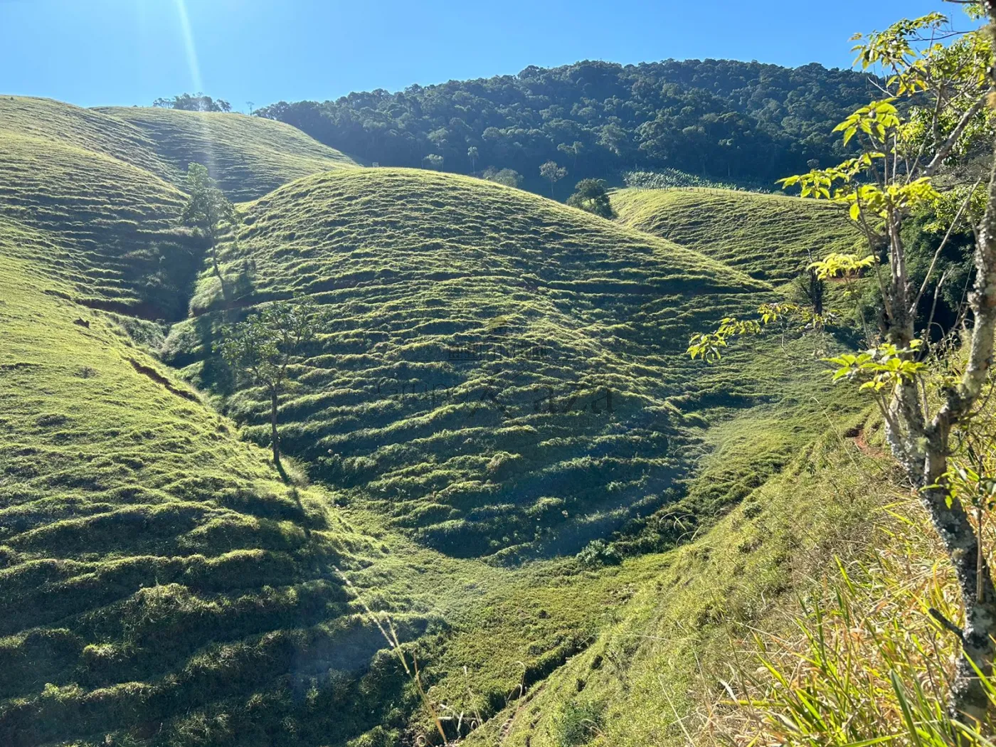 Foto 32 de Rural Fazenda em São Francisco Xavier, São José dos Campos - imagem 32